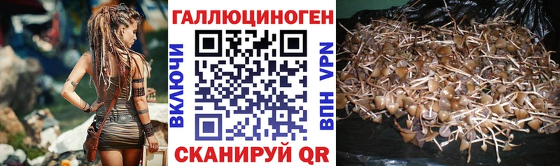 купить наркотики сайты  площадка Telegram  Галлюциногенные грибы GOLDEN TEACHER  Артёмовск 